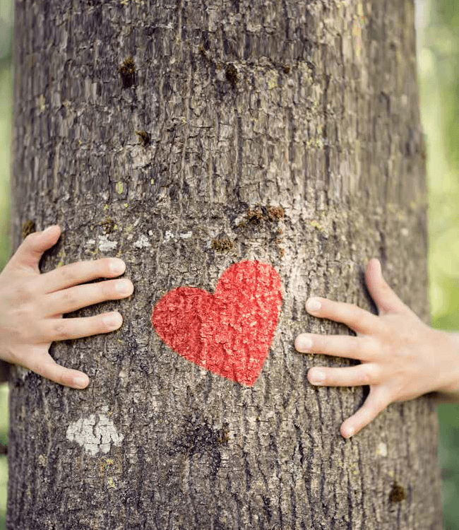 The Motivated Magazine